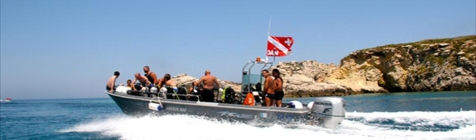 IL TUO DIVING ALLE TREMITI